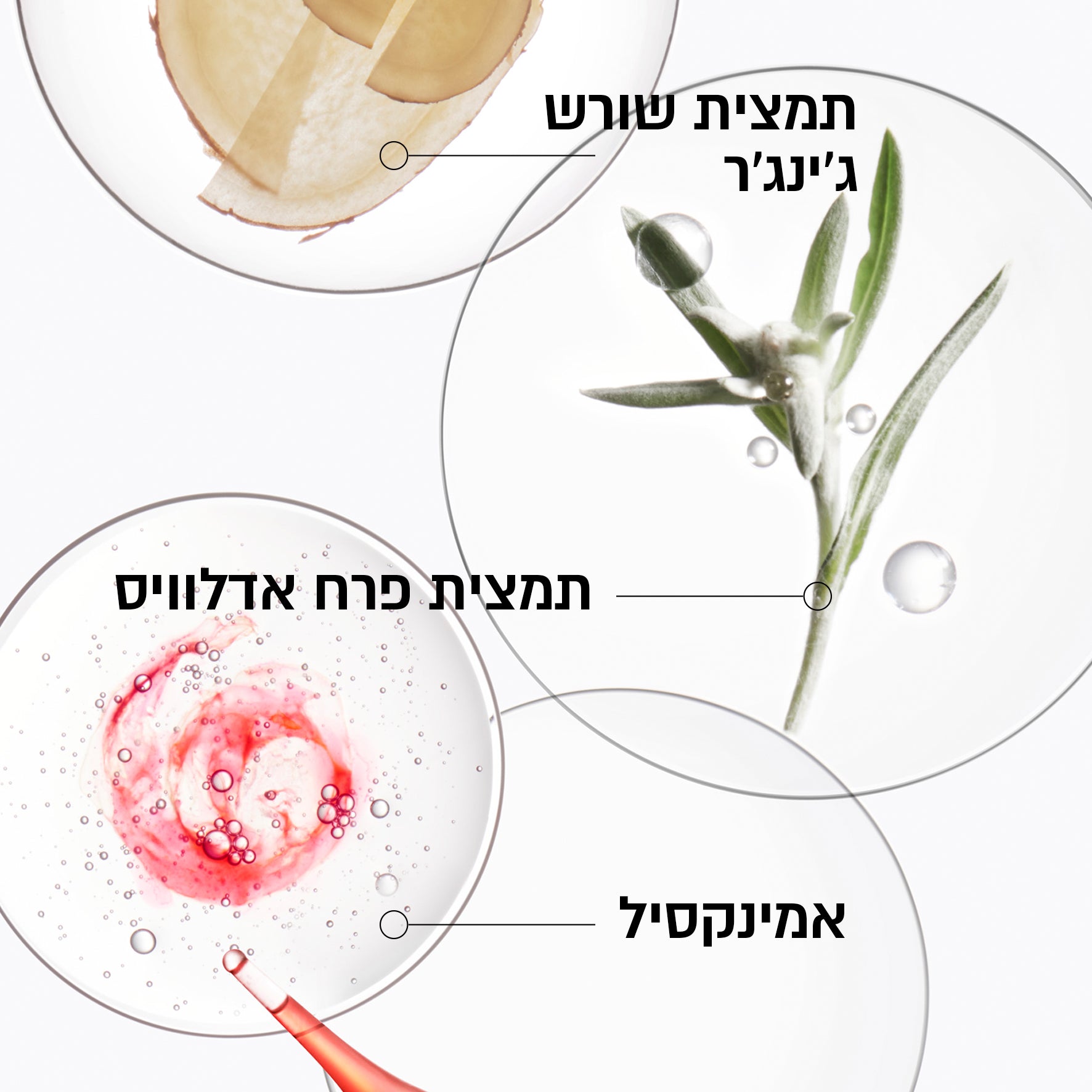 ג'נסיס מארז לשיקום קרסטס