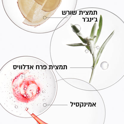 ג'נסיס מארז לשיקום קרסטס